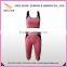 Wholesale Fashion Gym Wear Seamless Yoga Wear