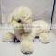 Plush Clothed Soft Girl Dog in Pink Color Poodle Dog