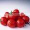 multifunction fruit size sorting and grading machine