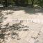 Terrace decorative WPC DIY tile