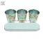 Galvanized zinc 3 flower pots on a saucer in classical rose print