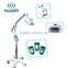 Portable Laser Teeth Whitening Machine, Teeth Whitening System