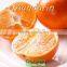 Fresh mandarin orange citrus fruit exporter from Taiwan