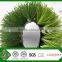 High Quality Green Color Artificial Grass For Sports 4g Artificial Pitch