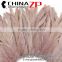 CHINAZP Bulk Sale Selected Prime Quality Natural Great Dyed Taupe Bleached Coque Tails Feathers