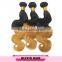 8A grade unprocessed wholesale 100% virgin brazilian hair human hair weave ombre hair extension