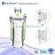 3 Sizes Handles Cooling Systerm Frozen Slimming Fat Cellulite Removal machine