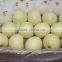 Chinese Golden Apples Fruit 20kg Ctn