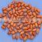 RAW BOLD PEANUT KERNEL FOR SUPPLY 40/50