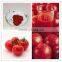 Lycopene Supplier Cas No: 502-65