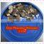 China supplier pleurotus ostreatus
