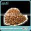 dried apricot kernel and apricot seed nut