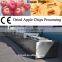 fruits and vegetables dehydration machines