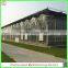 China Venlo polycarbonate sheet greenhouse with vegetable seeds