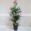 CHY030955 Artificial Bird Of Paradise plant /Landscaping Bosai plant tree/high initation Bird Of Paradise