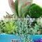 Biodegradable colorful plastic flower pots eco plant fiber pots