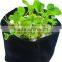 35 gallon Fabric Grow Pot Grow Bag