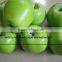 SJZJN 035 Creative Design Aritificial Lemon Tree Made in China High Imitation Tree