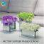 Square glass flower vases glass candle jars for homedecoration