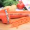 tri-blade plastic spiral vegetable slicer/plastic carrot Shredder, Cutter and peeler