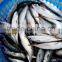 Frozen Pacific Mackerel Price