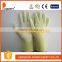 DDSAFETY Wholesale Luvas Yellow Nylon Liner With Whie PU gloves