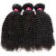 Malaysian Kinky Straight Indian Double Wefts  Curly Human Hair