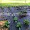 flower garden pp weed mats/black ground cover/weed mat