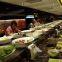 Sushi belt Food delivery system Conveyor belt sushi