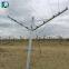 Table Grape Trellis Systems Open Gable Trellis