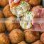 CE Certificated Arancini Making Encrusting Machine/Italian Rice Balls Forming Machine