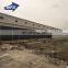 low cost prefabricated steel structure poultry chicken house with feeding system