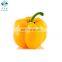 BRC-A Top Quality  IQF Frozen yellow Sweet Bell Pepper whole