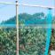 customized vineyard orchard cherry blueberries plant fruit support prodection net agriculture anti bird mesh net