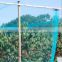 Factory directly provided greenhouse fruit trees anti bird protection net