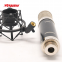 797AUDIO U95S OEM/ODM Manufacturer Professional Singing Tube Condenser Microphone Wired Broadcasting Microphone