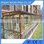 16.38mm lamianted glass sheet