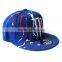Fashion Cool Aiptasia Embroidery Man Women Hiphop Snapback Flat Brim Cap