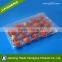 Fruit Plastic Packaging Strawberry Blister Container trays