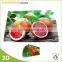 Newest Eco-Friendly Fashion pp Placemat ,plastic Placemat ,Table Placemats