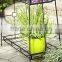 Plant Stand with Contemporary Tray Design and 2-Tier, Black