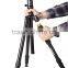Best for amazon ball head professional carbon tripod