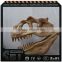 Amusement Park Products Dinosaur Skeleton Model