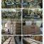 China Professional Photosensitive seal machine mini machine