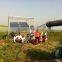 Best price Stainless Steel solar powered water pumps for drip irrigation /hot sell solar pumps