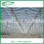 High Gutter and Roof Glass Greenhouse for Agriculture