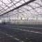Hydroponic Greenhouse made of Galvanized Steel Pipe