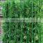 Wholesale decorative indoor artificial bamboo fake bamboo bonsai