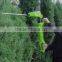 Electric Pole Hedge Trimmer