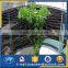 artificial stainless steel 304 climbing mesh netting for green wall fences